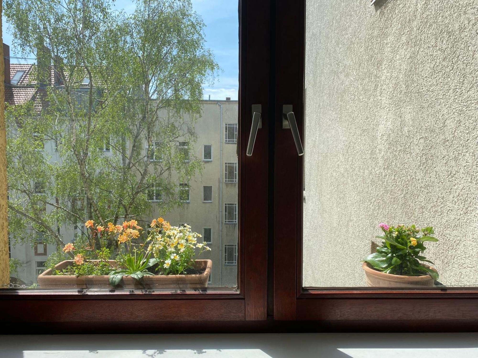 Vorhang Auf! Appartement *